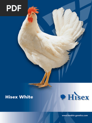 Телефоныңызға жалаңаш қыздардың суреттері