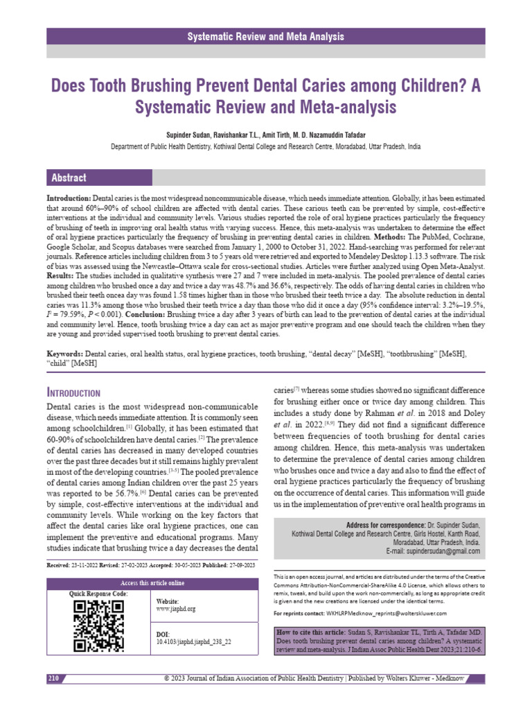 How Often Should I Groom A Double-Coated Breed?