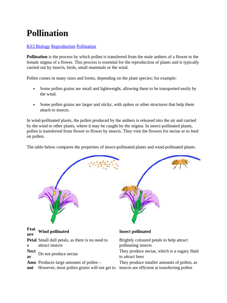 Pollination | PDF | Flowers | Pollination