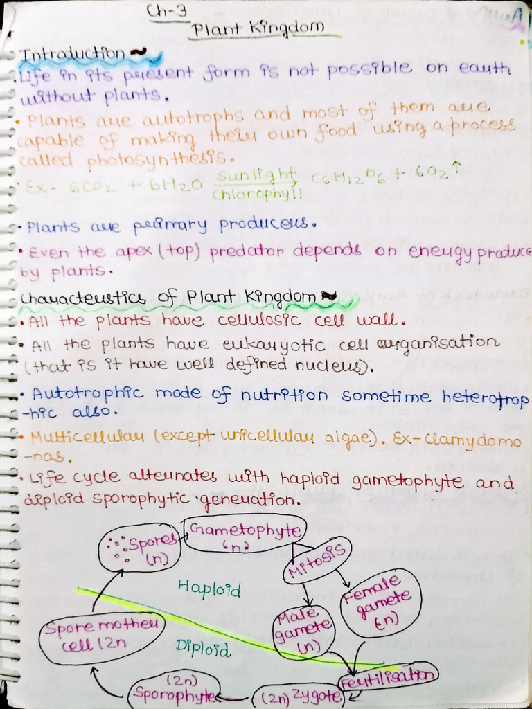 Ch-3 Plant Kingdom | PDF