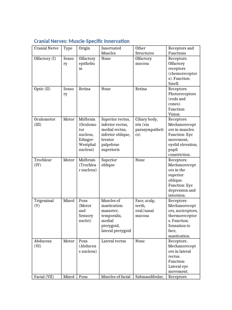 Cranial Nerves: Muscle Innervation Guide | PDF | Human Anatomy | Human ...