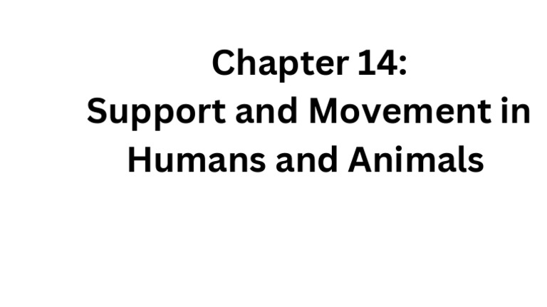 Chapter 6 | PDF