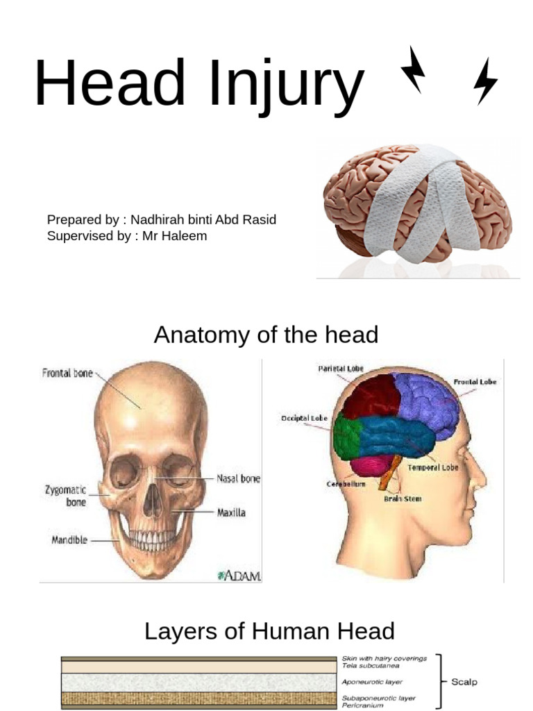 Comprehensive Guide to Head Injury | PDF | Traumatic Brain Injury ...