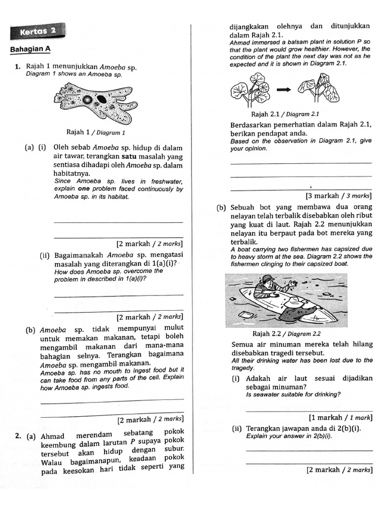 Final Assessment | PDF