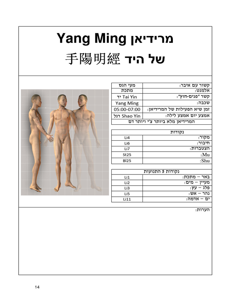 1.2.Yang Ming של היד | PDF