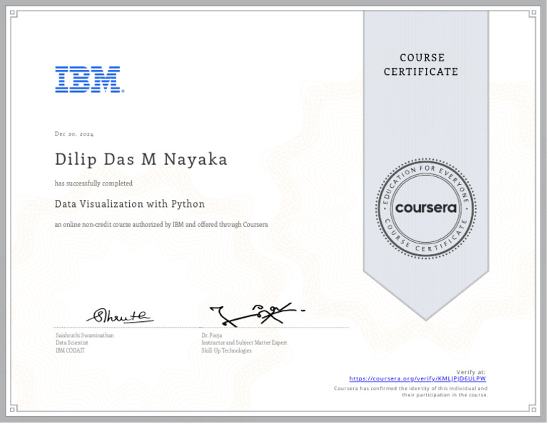 Data Visualization Course Completion | PDF