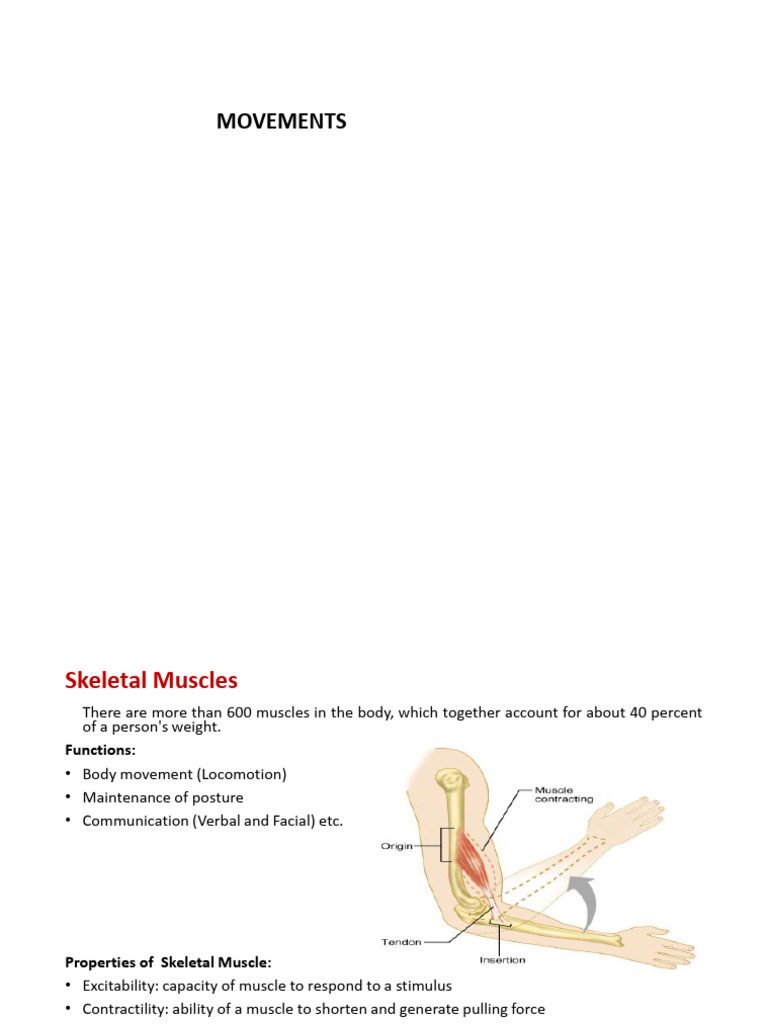 EMG Basics and Muscle Control | PDF | Electromyography | Motor Neuron