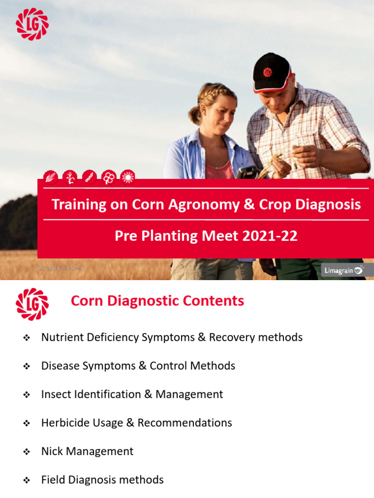 Corn Agronomy Training: Nutrient Management | PDF | Plant Nutrition | Soil