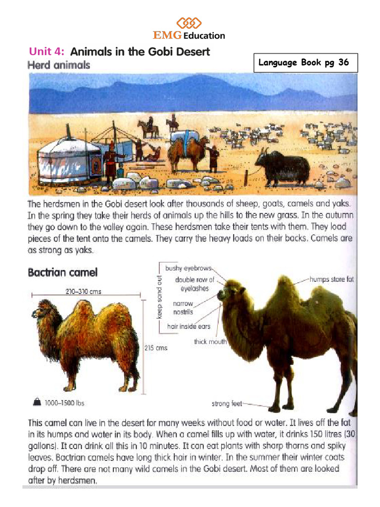 Macmillan English Language Book 3 Unit 4 PDF