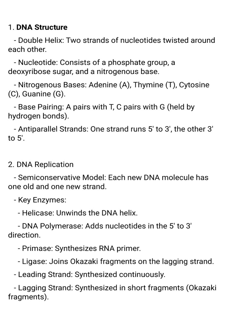 DNA Structure and Function Overview | PDF | Rna | Dna