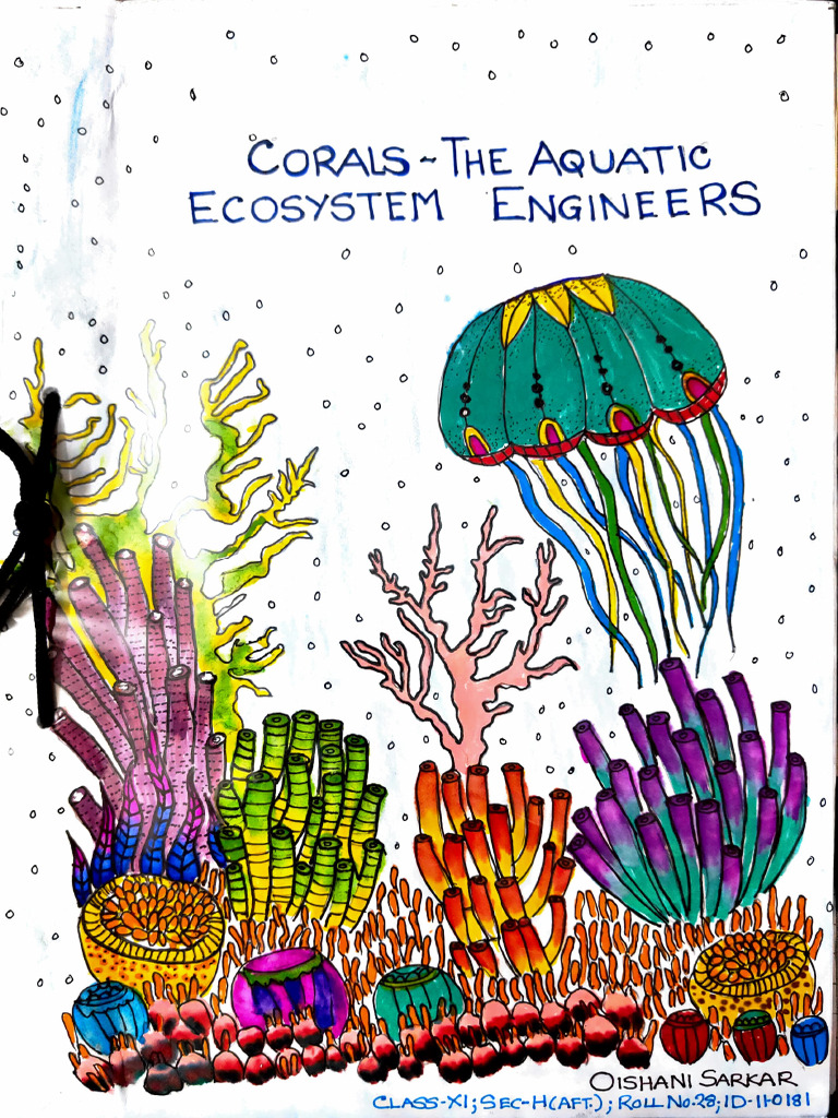Coral project 1 pdf