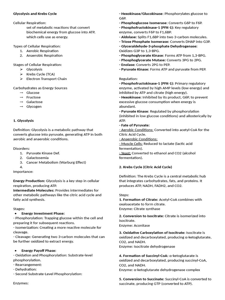 Glycolysis and Krebs Cycle | PDF | Glycolysis | Cellular Respiration