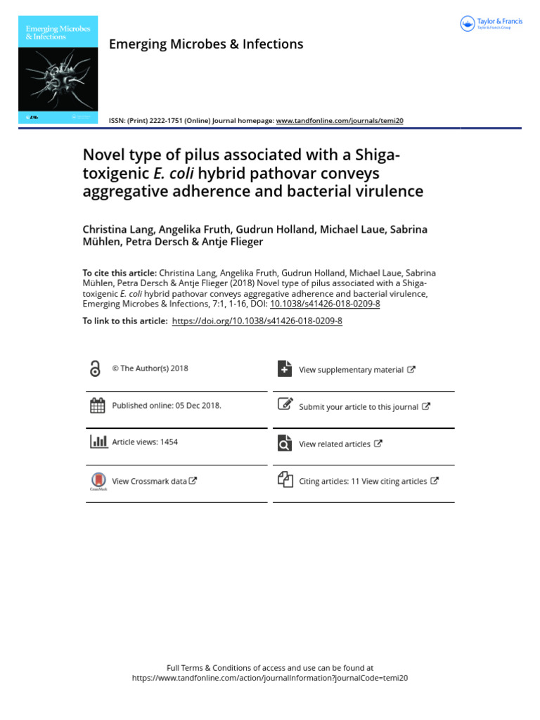 Novel Type of Pilus Associated With A Shiga-Toxigenic E. Coli Hybrid ...