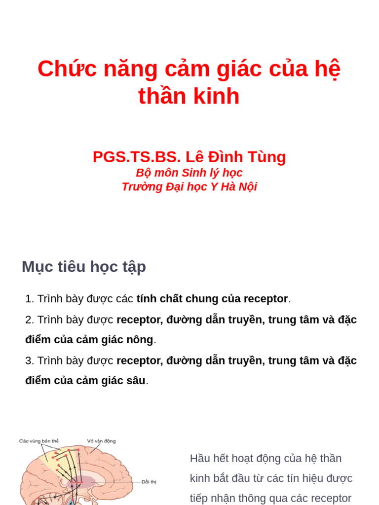 Lec5 S2.8 SLCG 2023.10.30. | PDF