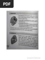 Carnea de Porc Si de Vita_24.03