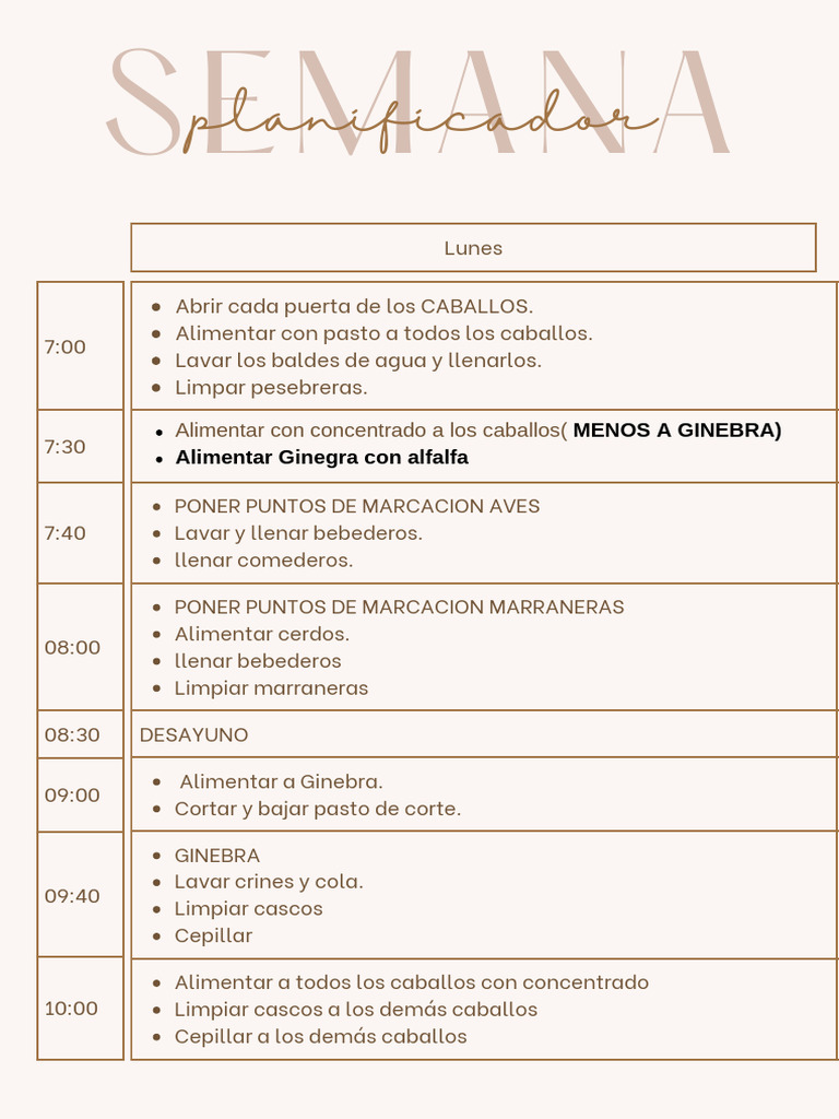 agenda-planificador-semanal-minimalista-personal-beige-pdf-forraje