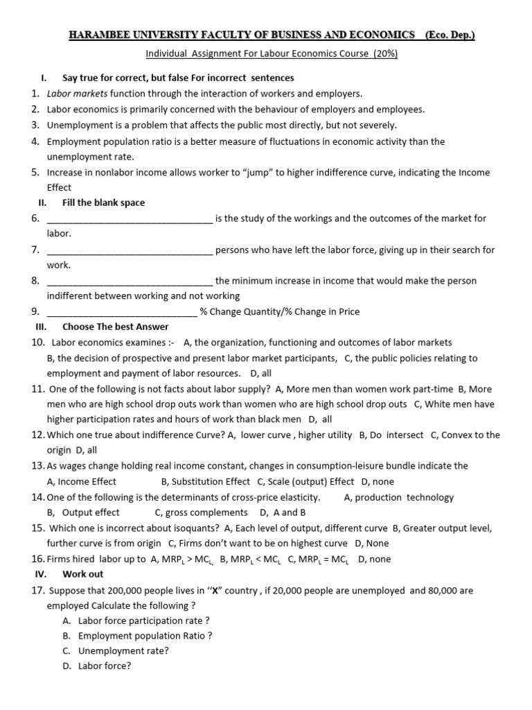 Labor Economics Individual and Group Assignment | PDF | Labour ...