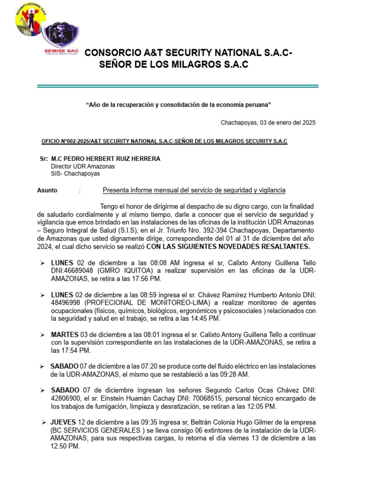 Informe Mensual de Seguridad Diciembre 2024 | PDF