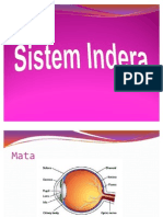 Sistem Indera
