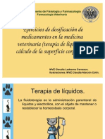 Download Dosificacion Terapia de Liquidos y Medicacion by Kain Ontiveros Oliveros SN81332060 doc pdf