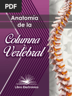Anatomía y Función de la Columna Vertebral | PDF | La columna vertebral ...