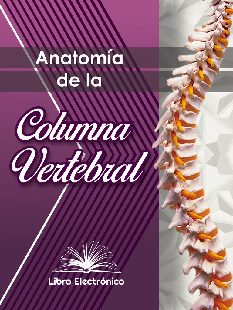 Evolución y Funciones de la Columna Vertebral | PDF | La columna ...