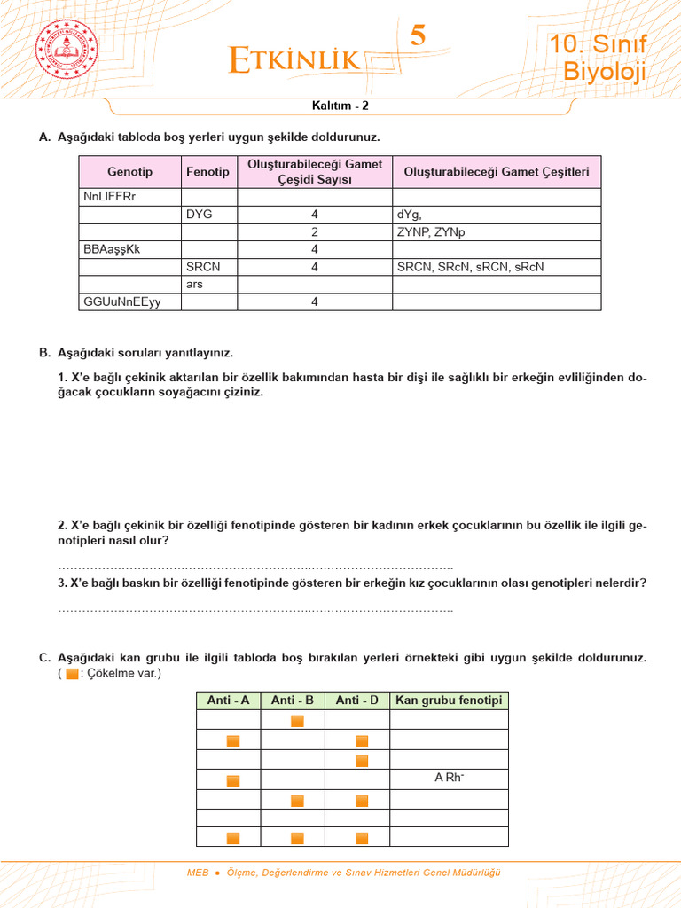 Sınıf Biyoloji Biyoloji: NNLLFFRR Dyg 4 Dyg, 2 Zynp, Zynp Bbaaşşkk 4 ...