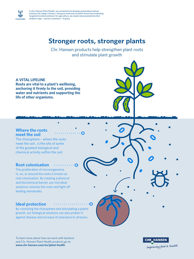 Stronger Roots Stronger Plants | PDF