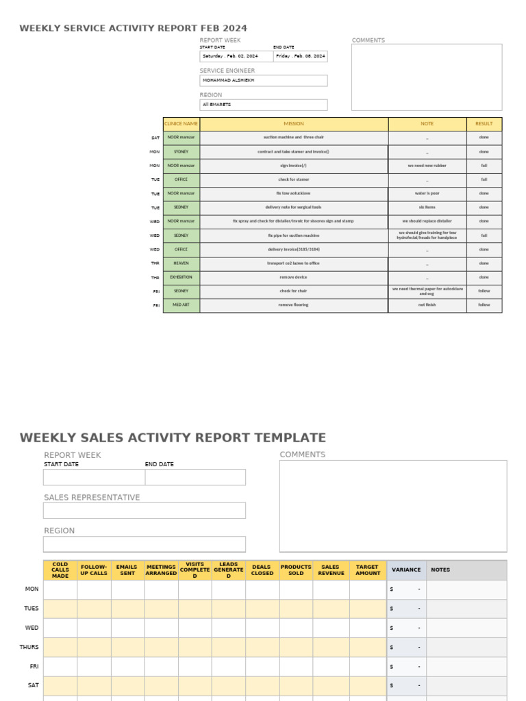 Weekly Service Activity Report Feb 2024 | PDF