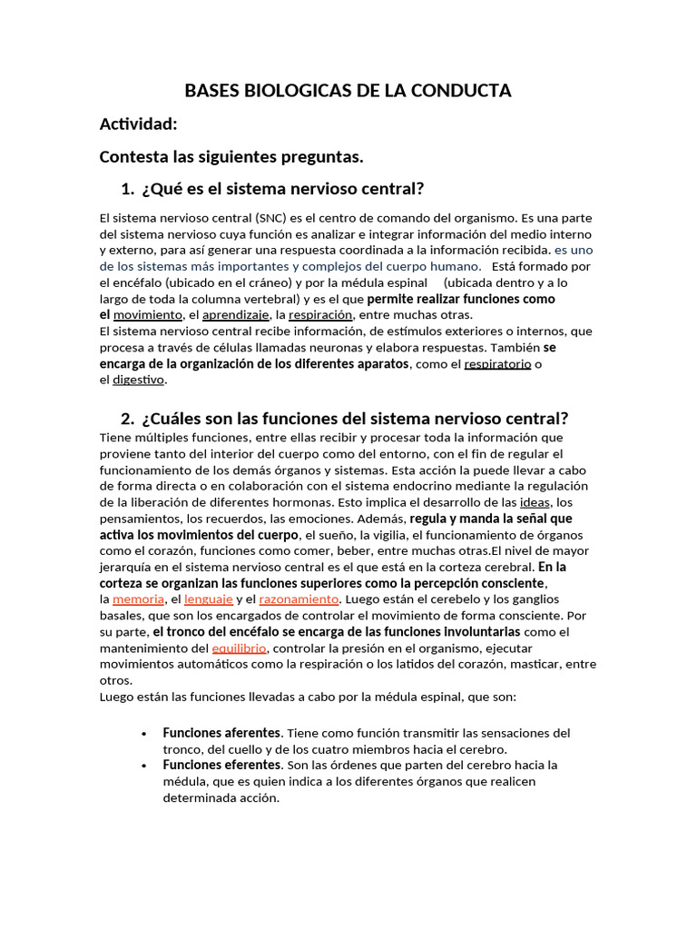 Funciones del Sistema Nervioso Central | PDF | Cerebro | Sistema ...