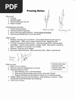 Pruning Notes