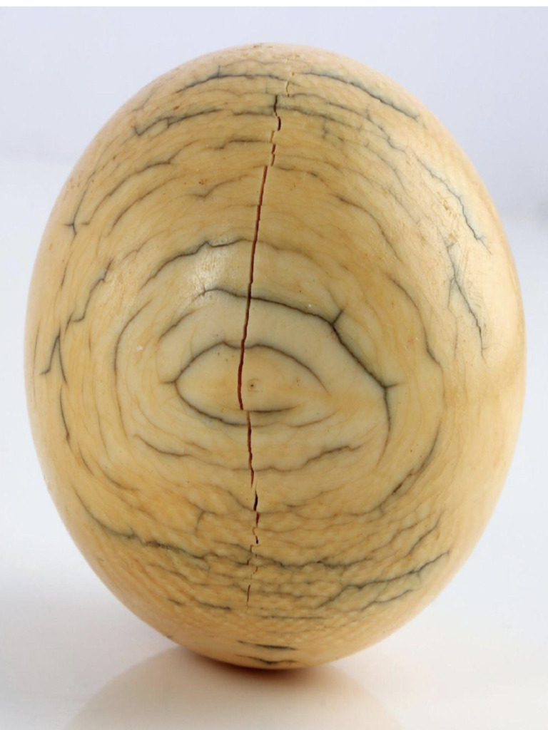Ivory Cue Ball 1 | PDF