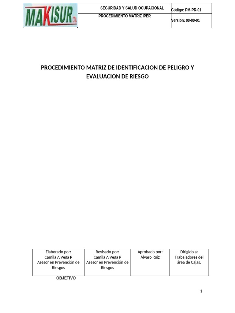 11-PDT - Matrices de Riesgos V°3 | PDF | Riesgo | Seguridad y salud ...