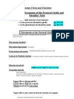 11 Upper Limb Muscle Groups Smith