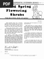 Pruning Spring Flowering Shrubs