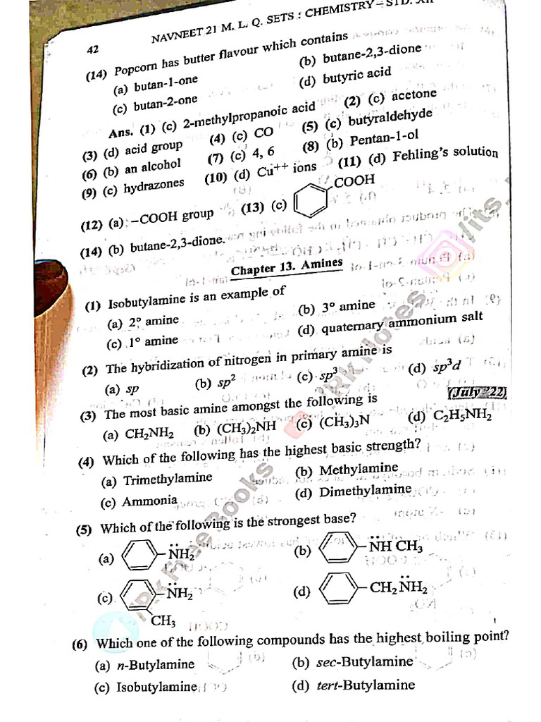 Amines 21 Questions | PDF
