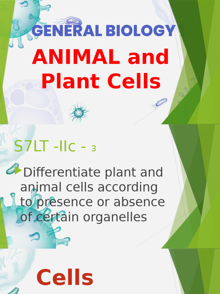 Plant and Animal Cell | PDF