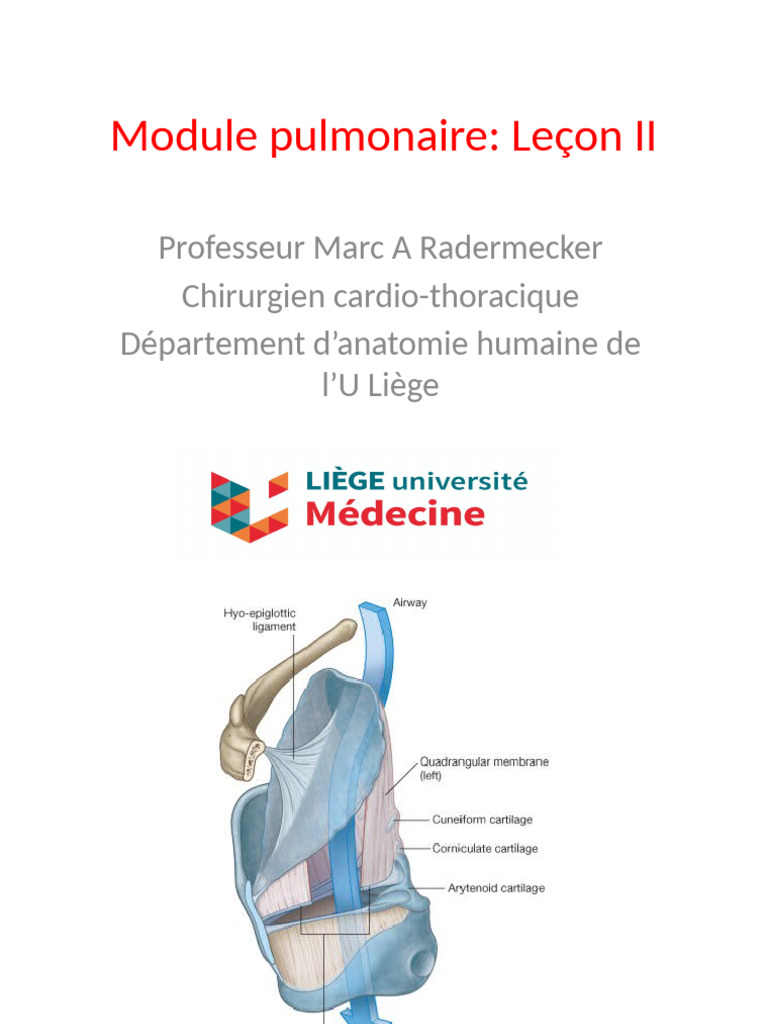 Anatomie pulmonaire et réanimation | PDF