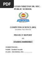 PDF Document