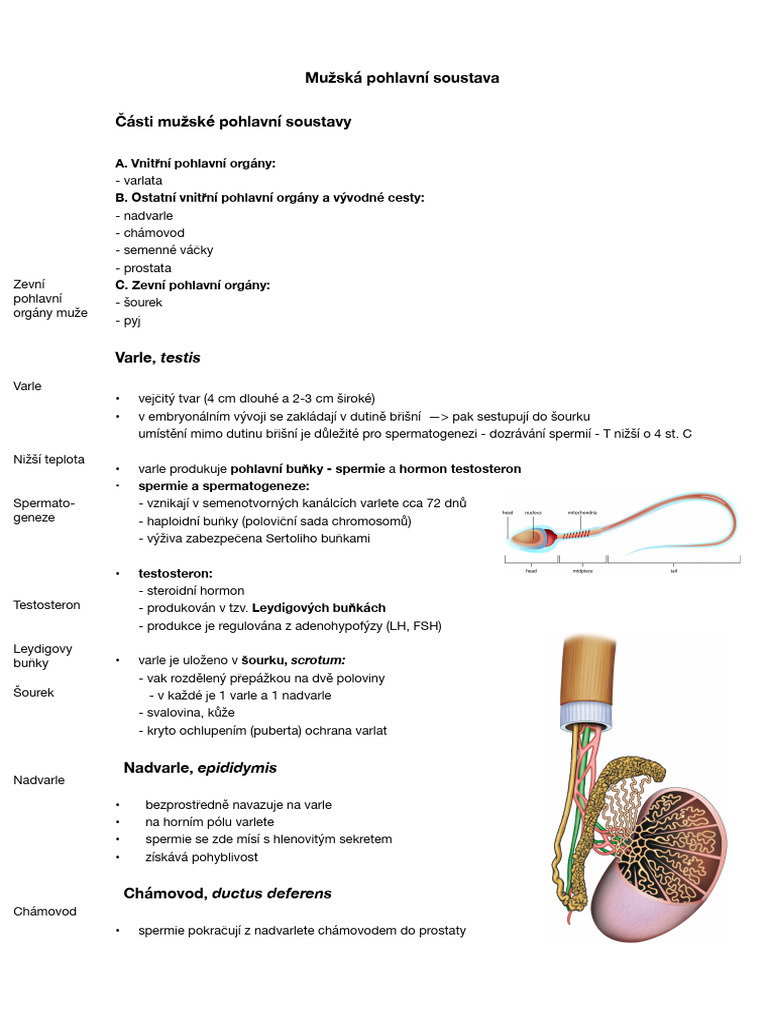 biologie-lov-ka-pohlavn-soustava-pdf