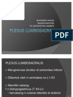 Plexus Lumbosacral Ham (Dr. Hasan)