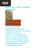 Ciencias ( Estudo Da Mtaria