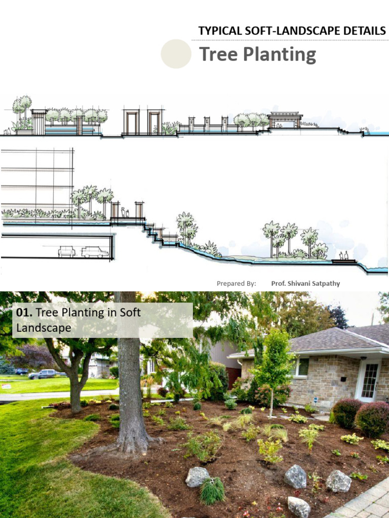 Tree Planting Techniques in Landscapes | PDF