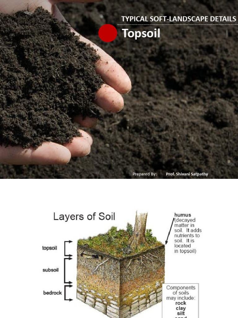 Soft Landscape Planting Techniques | PDF