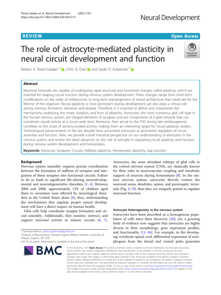 Perez Catalan, Nelson A 2021 01 07 The Role of Astrocyte Mediated ...