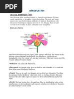 Rose Flower Anatomy and Functions | PDF