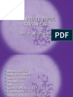 Genetikte Temel Kavramlar