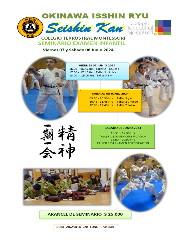 Seminario Okinawa Isshin Ryu 2024 | PDF