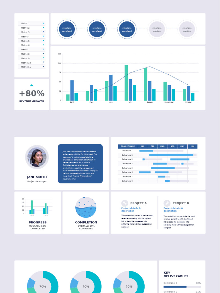 Project Progress Dashboard Overview | PDF | Economies | Information ...
