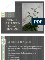 12 Relacion Plantas